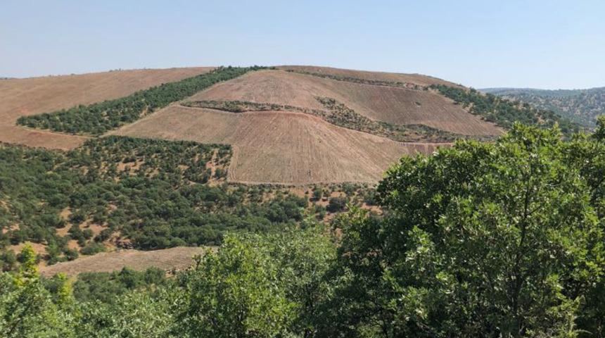 Tarım ve teknolojilerinde yatırım fırsatı 