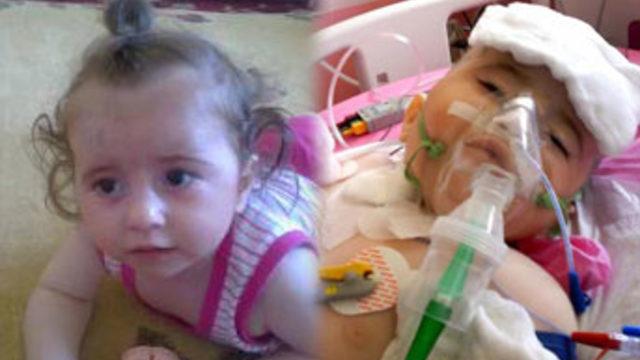 Ceyda bitkisel hayata girdi