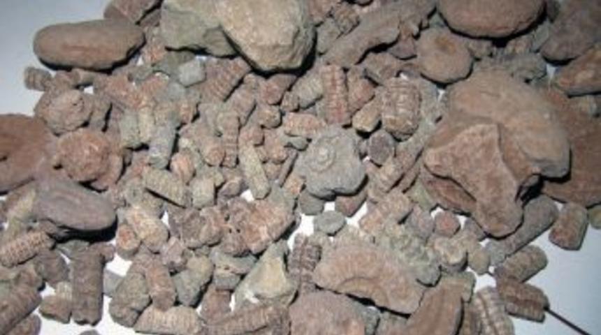 G&uuml;m&uuml;şhane&rsquo;de Film Gibi Tarihi Eser Operasyonu