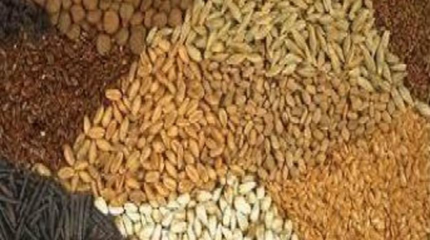 Kadir G&uuml;ven: Sertifikalı Tohum Verimi Arttırıyor