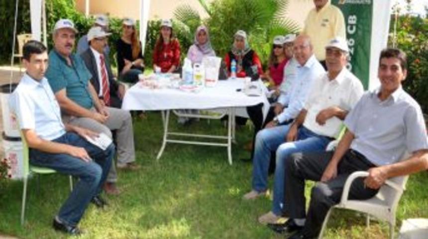 Mersin'de 8 Yıllık Okitsu Mandalina Ağacından 240 Kilogram &Uuml;r&uuml;n Alındı