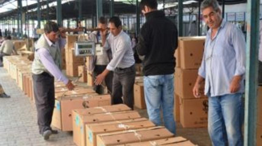 Eşme&rsquo;de T&uuml;t&uuml;n Alımları Başladı