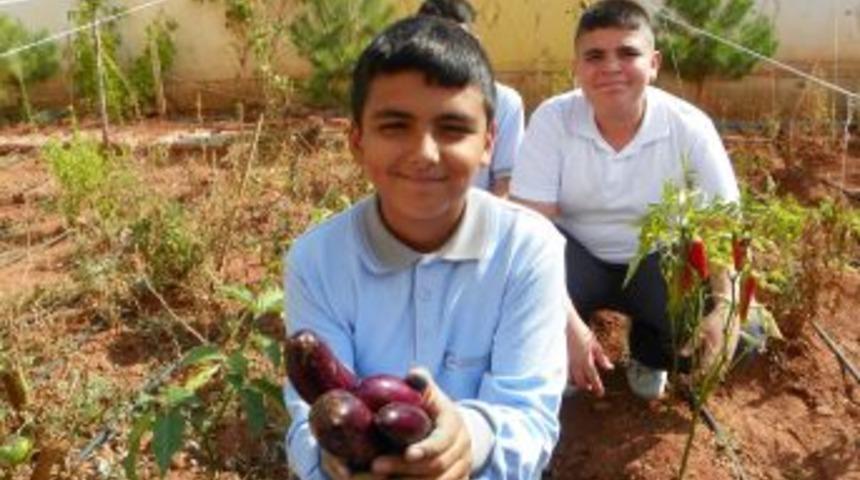 &Ouml;ğrenciler, Uygulama Bah&ccedil;esinde &Uuml;r&uuml;nlerini Topladı