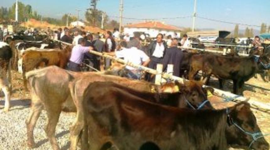 Hisarcık Hayvan Pazarında Kurban Hareketliliği