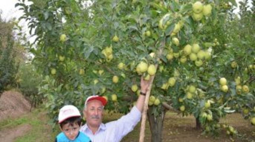 Elma &Uuml;reticisi Soğuk Hava Deposu İstiyor