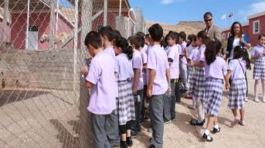 &Ouml;ğrenciler Hayvanları Korumayı &Ouml;ğrendiler