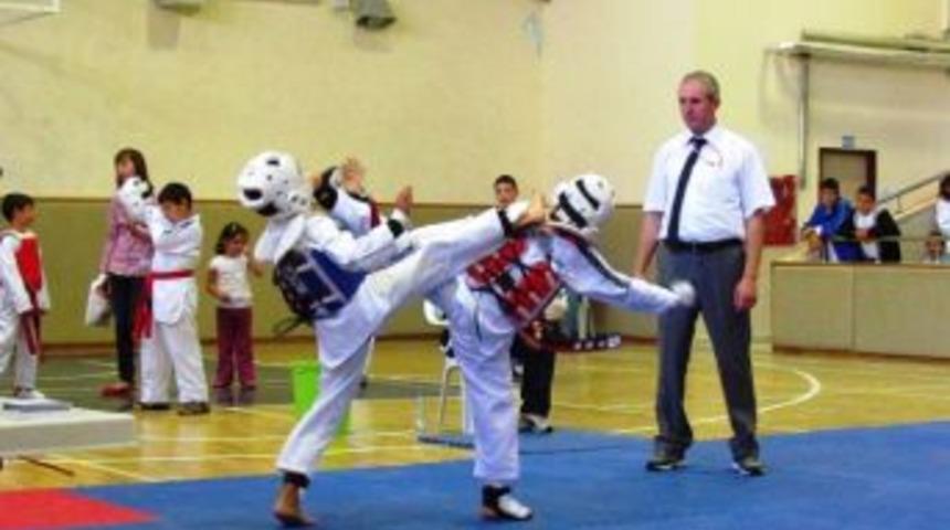 D&uuml;zce Taekwondo İl Şampiyonası Sona Erdi