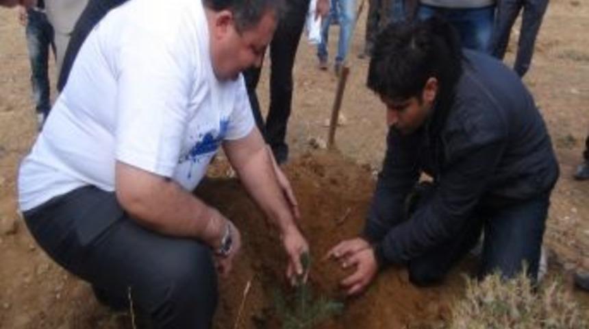 Bitlis&rsquo;te 10 Bin Ağa&ccedil; Toprakla Buluştu