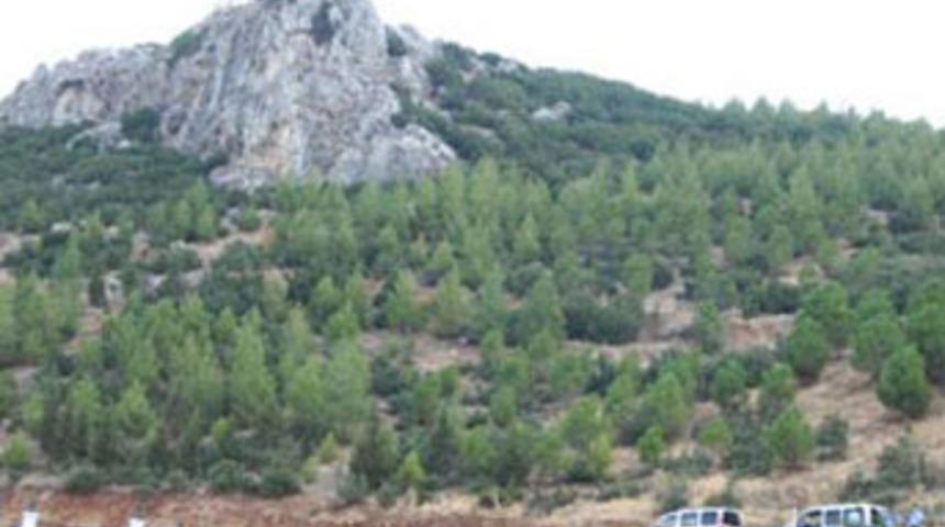 Ağlayarak kayalıktan atladı