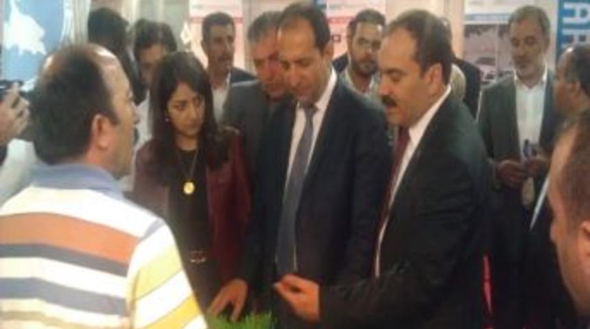 Ak Partili Vekiller Fuarda