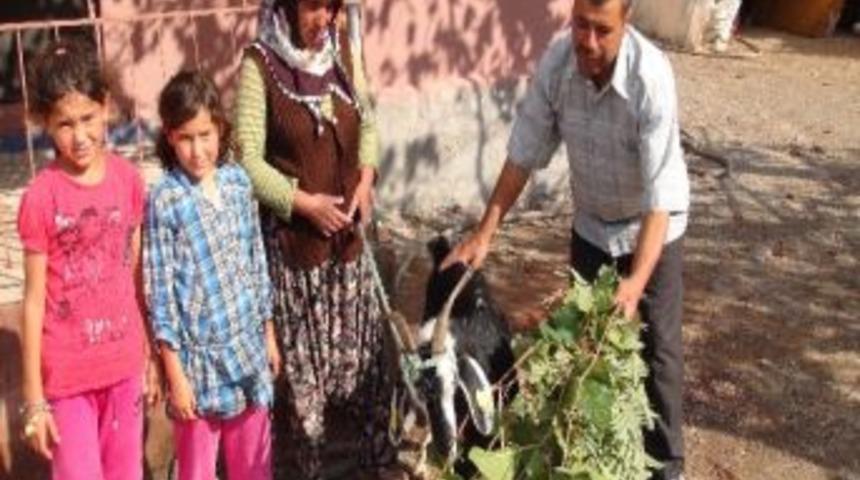 İmamdan Eğitime Destek