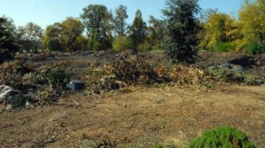 Yalova &Uuml;niversitesi'nden Belediyeye Atık Tepkisi