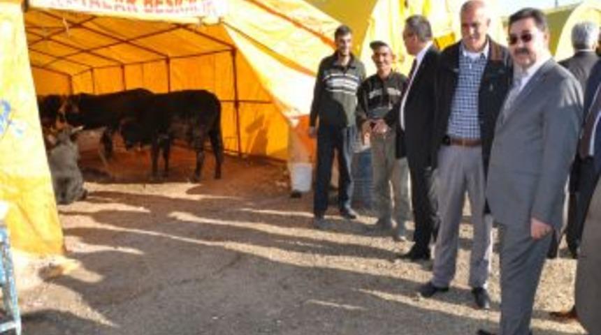 G&ouml;lbaşı Belediyesi, Haymana Yolu &Uuml;zerinde Kurban Pazarı A&ccedil;tı