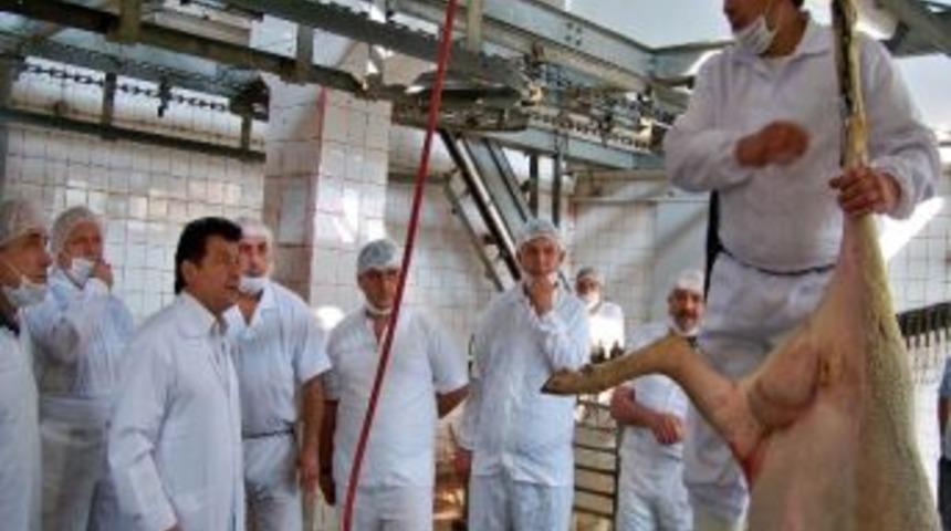 D&uuml;zce Halk Eğitim Merkezinden Kurban Kesim Kursu