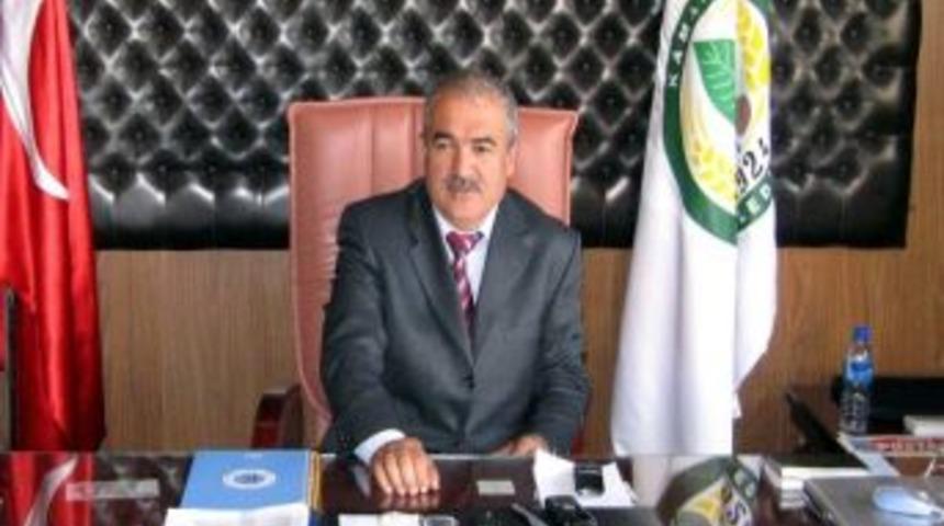 Kaman Ceviz Festivale Hazır