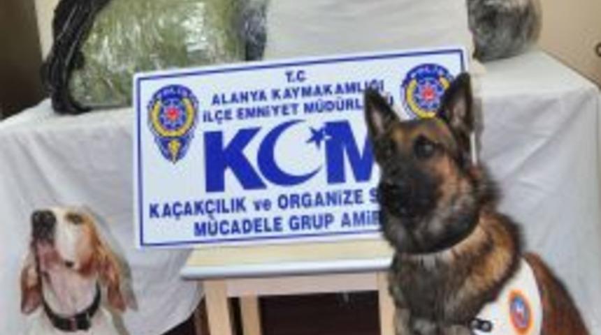 Uyuşturucu Tacirleri Polisi G&ouml;r&uuml;nce Otomobili Bırakıp Ka&ccedil;tı