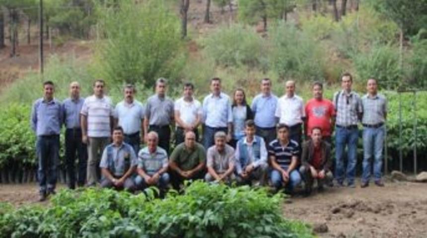 Şeker, Orman B&ouml;lgeye Bağlı İşletmeleri Ve Fidanlıkları İnceledi