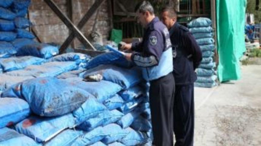 Zabıta K&ouml;m&uuml;r Denetimi Yaptı