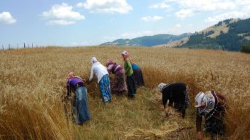 "Anız Yakmak Hem &Ccedil;ift&ccedil;iye, Hem Doğaya Hem De Insana Zarar Veriyor"
