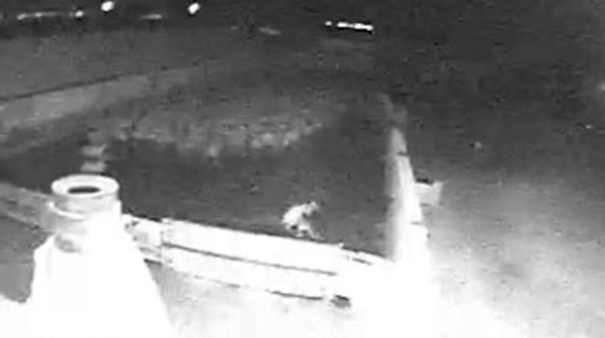 Kurt saldırısı g&uuml;venlik kamerasına takıldı