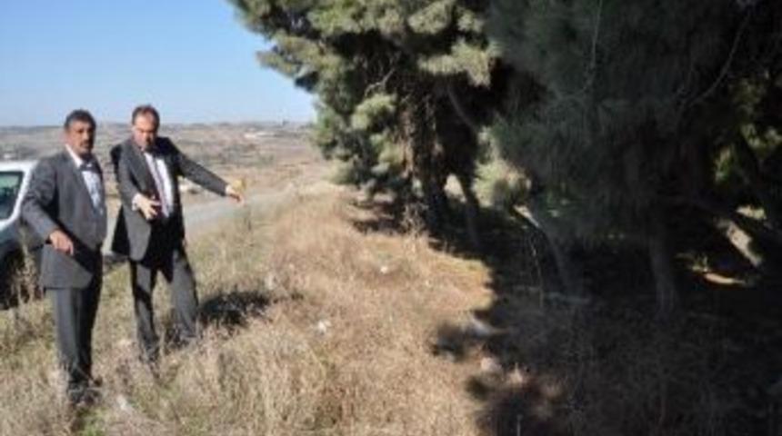 Eski Şehir &Ccedil;&ouml;pl&uuml;ğ&uuml; K&uuml;lt&uuml;r Parkı Olacak