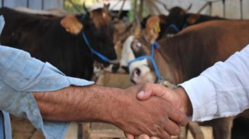 Kurbanlık Hayvan Satıcıları Masrafların &Ccedil;okluğundan Dertli