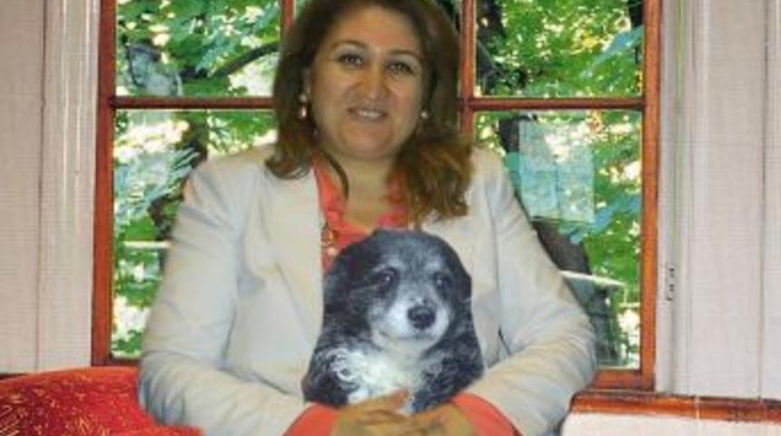 Karak&ouml;se, &lsquo;Hayvan deyip ge&ccedil;meyin&rsquo;