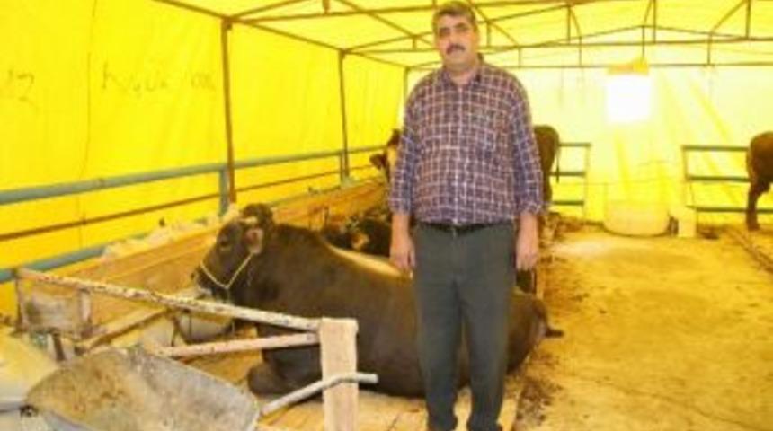 Yozgat&rsquo;ta Kurbanlıklar G&ouml;r&uuml;c&uuml;ye &Ccedil;ıktı