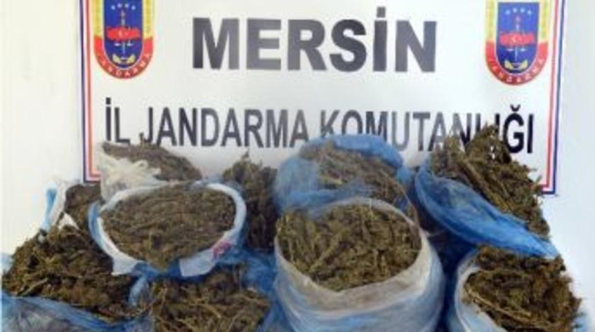 Aydıncık&rsquo;ta Uyuşturucu Operasyonu