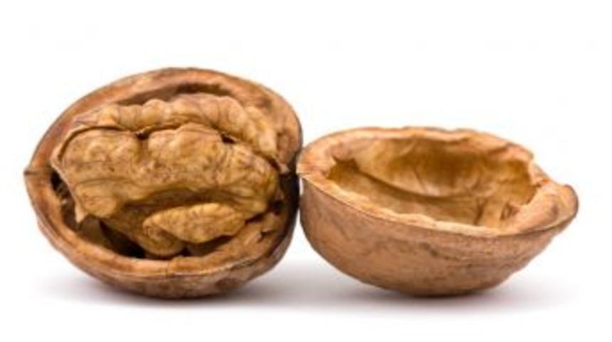 Akademisyenler alı&ccedil; ve cevizi ele alacak