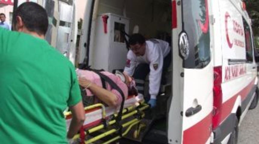 Ceviz Ağacından D&uuml;ş&uuml;p Belini Kırdı