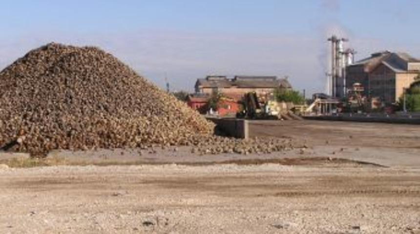 Malatya Şeker Fabrikası'nda Pancar İşlenmeye Başlandı