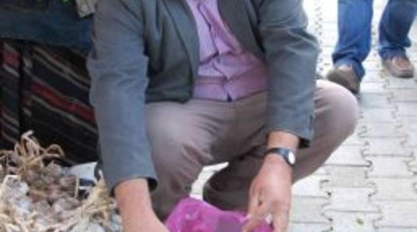 Simav Kestanesini İhra&ccedil; Etmek İsteyen Firmalar Kuyruğa Girdi