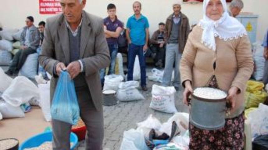 Kurufasulye &Uuml;reticiyi Sevindirdi