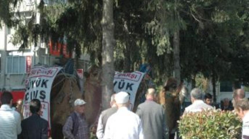 Mdbilyacıdan Develi Tanıtım