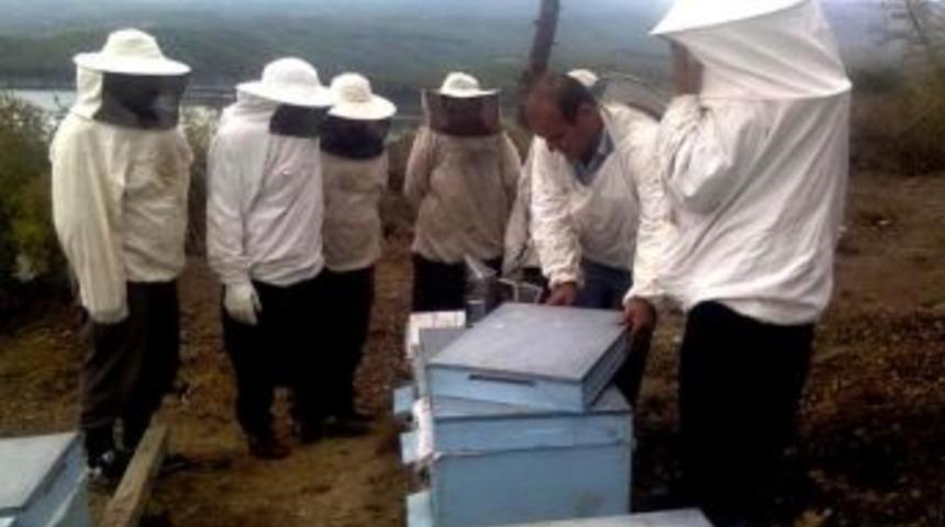 "arıcılık, Bal &Uuml;retimi Ve Kalitesinin Arttırılması" Projesi