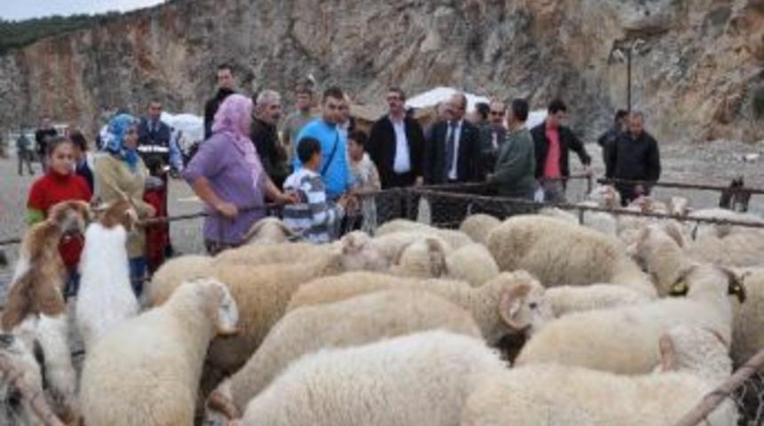 Kuşadası&rsquo;nda Kurban Satış Yerleri Belirlendi