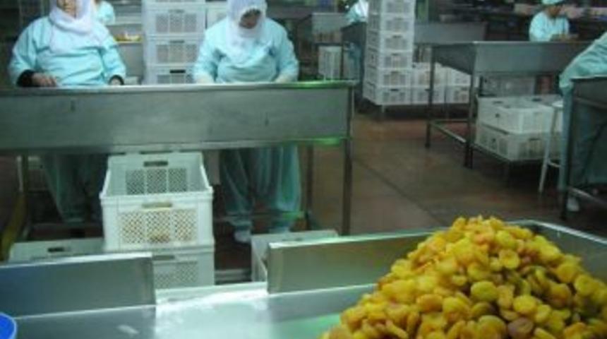 Eyl&uuml;lde 12 Lira 82 Kuruşa Kuru Kayısı Satıldı