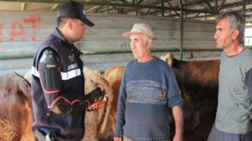 Jandarmadan Kurban Satıcılarına Dolandırıcılık Uyarısı