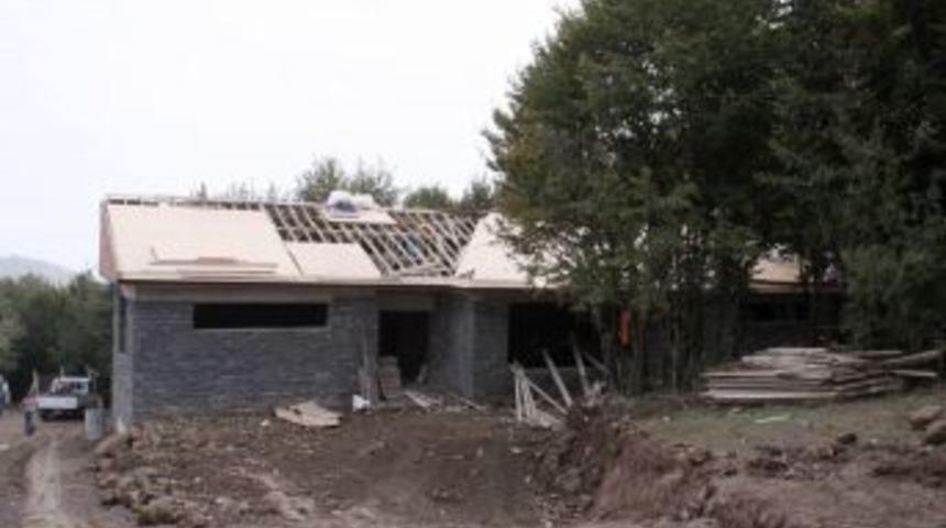 HAYTAP Temsilcisi Turan: Sahipsiz Hayvanlar Sokakta Yaşamaya Devam Edecek