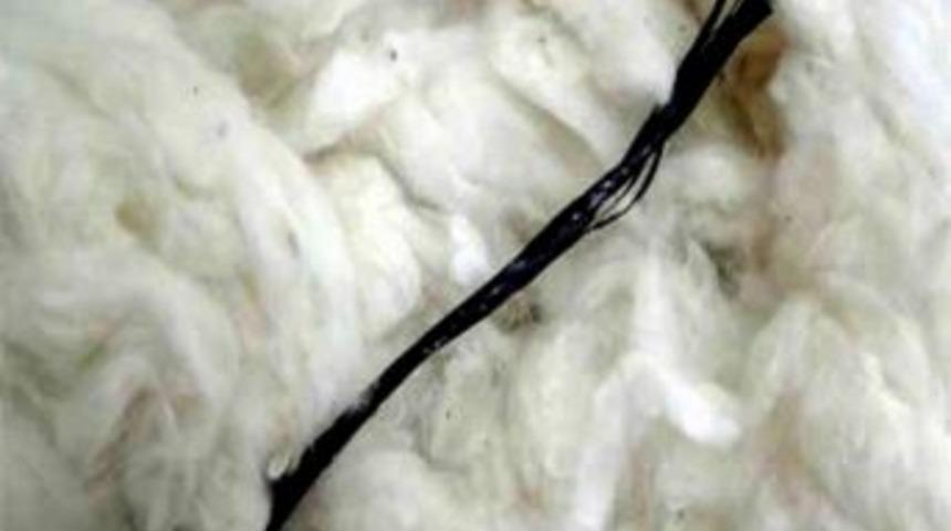 Pamuğu Kirletiyoruz