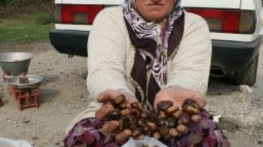 Kışın Habercisi Pazara İndi