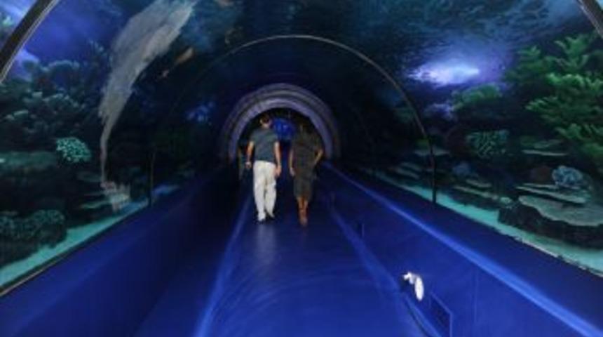 Kılı&ccedil;daroğlu, Yarın Antalya'da Dev Akvaryum'un A&ccedil;ılışını Yapacak