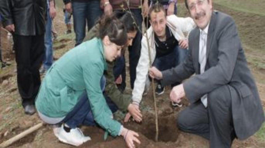 Paland&ouml;ken Belediyesi, Oyun Parkı Sayısını Ve Yeşil Alan Miktarını Artırıyor