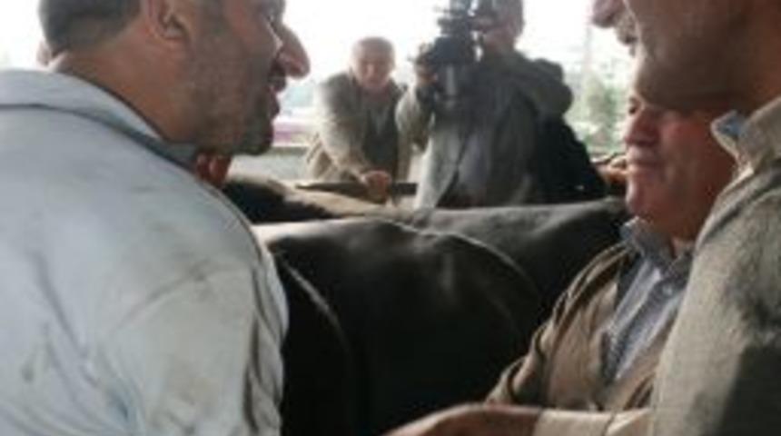 D&uuml;zce&rsquo;de Kurbanlıklar Pazara İndi