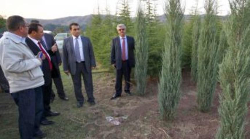 30 Milyon Fidan Toprakla Buluşuyor