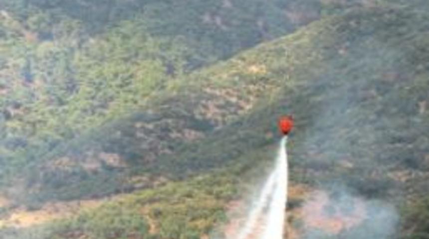 &Ouml;demiş&rsquo;te Zeytinlik Alanda Yangın