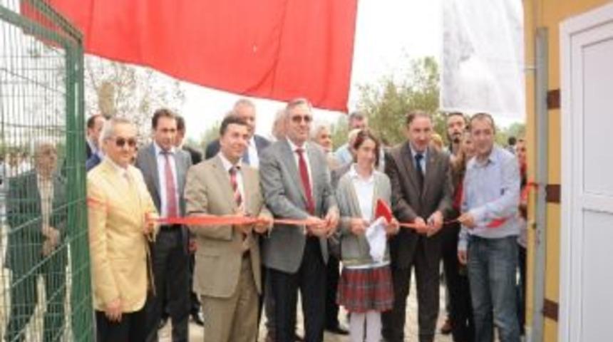 Sokak Hayvanları Evlerine Kavuştu