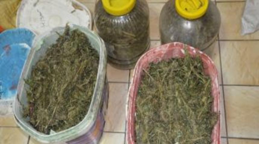 Turşu Bidonlarında Esrar Ele Ge&ccedil;irildi