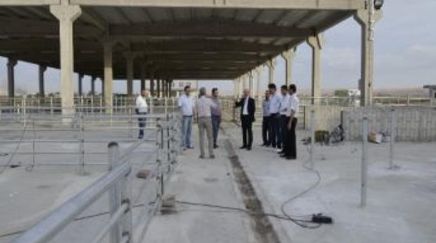 Mezbahanede Bayram &Ouml;ncesi Denetim